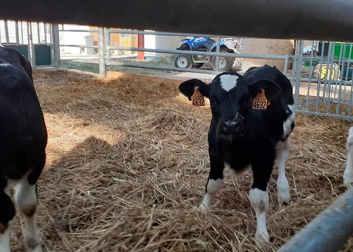 Gite A La Ferme Le Vivier