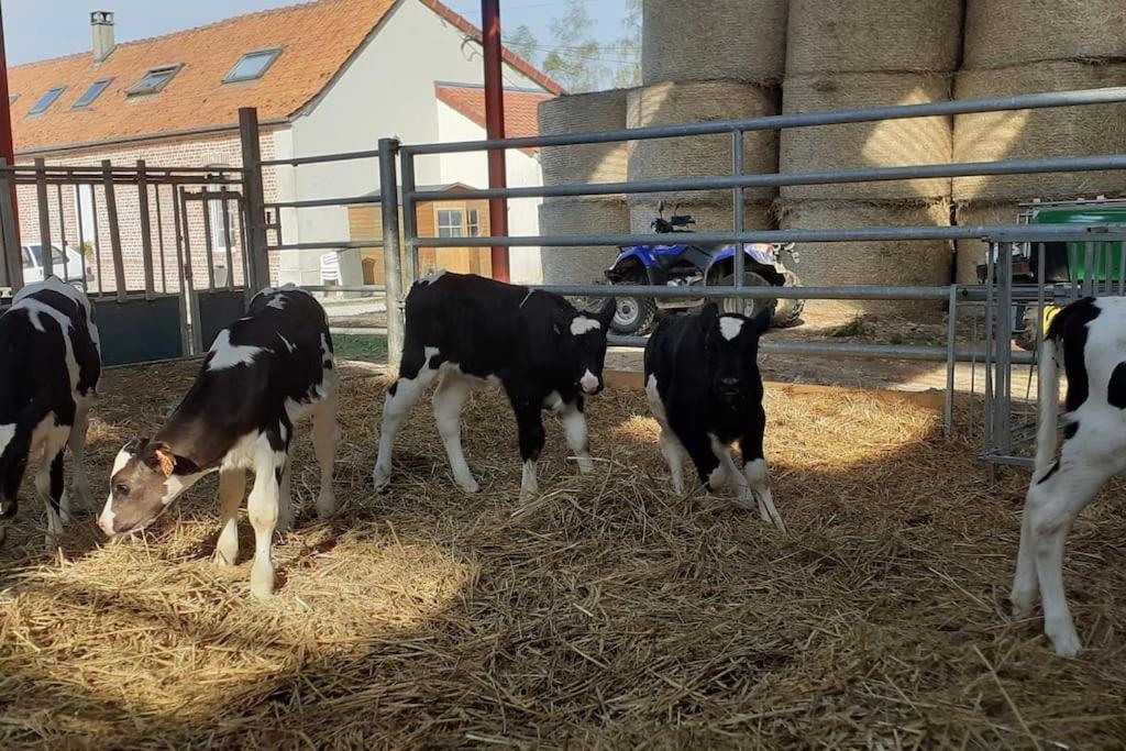 A La Ferme Le Vivier Holiday home *